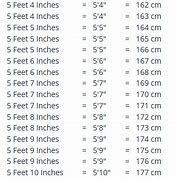 Image result for 185 Cm to Feet/Inches