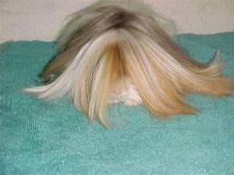 Image result for Purevian Weave 8 Inch