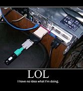Image result for Meme of USB Dingle's