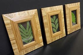 Image result for Bamboo Frame Pack