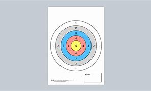 Image result for Custom Shooting Targets