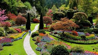 Image result for World Beautiful Flower Gardens