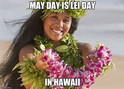 Image result for Hawaiian Lei Meme