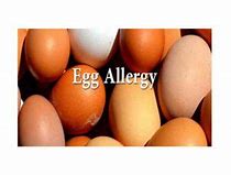 Image result for Egg Allergy