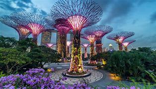 Image result for Tree-Planting Singapore