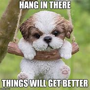 Image result for Hang in There Puppy Meme
