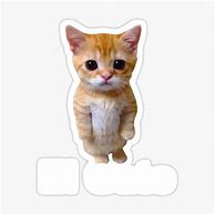 Image result for Cute Cat Meme Stickers
