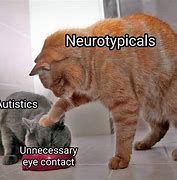 Image result for Autistic Surprised Cat Meme