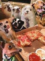 Image result for Funny Valentine Pizza Meme