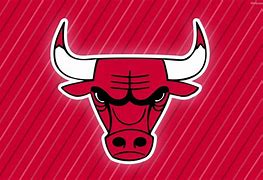 Image result for NBA Chicago Bulls