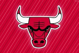 Image result for Chicago Bulls Champion Wallpaper