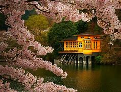 Image result for Picture Nature Japanese