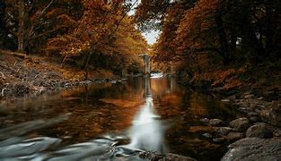 Image result for Fall Trail River Image