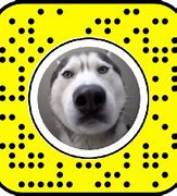 Image result for Snapchat Filter FaceTime