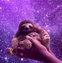 Image result for Sloth Hanging from Tree Wallpaper