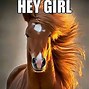 Image result for Happy Horse Meme