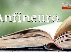 Image result for anfineuro
