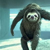 Image result for Sloth Superman