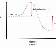 Image result for Reaction Coordinate Diagram for Positive Free Energy