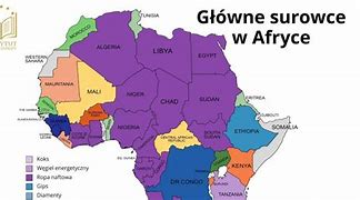 Image result for co_oznacza_Żabiru_afrykański