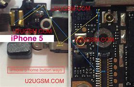 Image result for Button iPhone 5 Issues