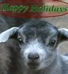Image result for Christmas Goat Meme