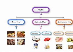 Image result for Saturated Animal Fat