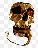 Image result for Animal Skull Emoji