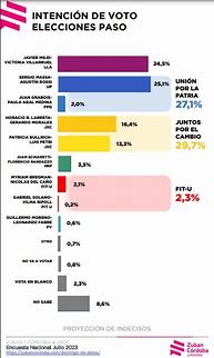 Image result for Milei Elecciones