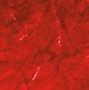 Image result for Red Static Textures