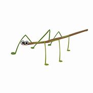 Image result for Stick Insect Cartoon