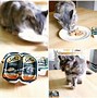 Image result for purina cat food