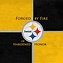 Image result for Steelers Team Logo