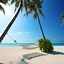 Image result for Caribbean Beach Wallpaper for iPhone