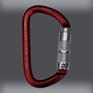 Image result for Double Locking Carabiner