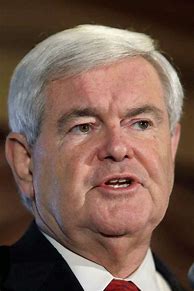 Image result for Newt Gingrich