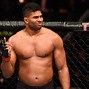 Image result for Best Heavyweight MMA Fighter