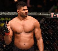 Image result for UFC Heavyweight Fighters