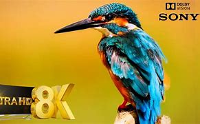 Image result for Extreme HD 8K