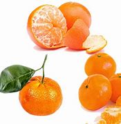 Image result for Tangerine Mandarin Orange