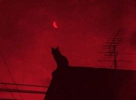 Image result for Dark Cheshire Cat Aesthetic