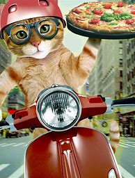 Image result for Pizza Crust The Cat