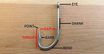 Image result for Double Screw Hook