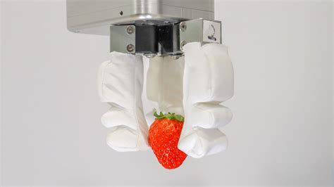 Image result for Soft Robot Gripper