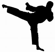 Image result for Martial Arts Icon Transparent Backround