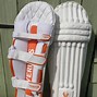 Image result for Cricket Equipment for Practice Pics