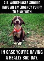 Image result for Funny Animal Work Quotes