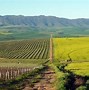 Image result for South Africa Tourism