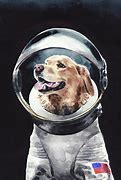 Image result for Astronaut Dog