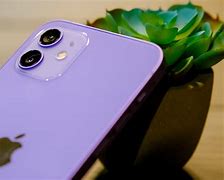 Image result for Purple Apple iPhone